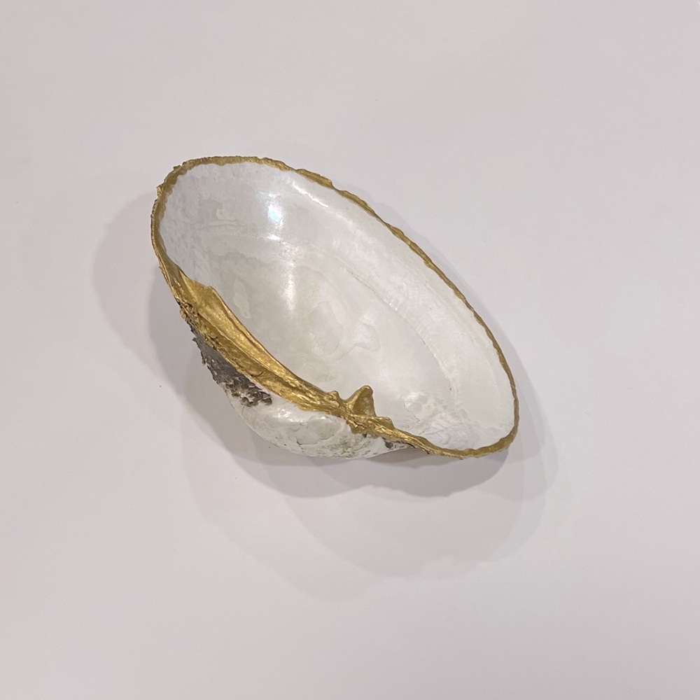 Trinket Dish - Fresh Water Seashell